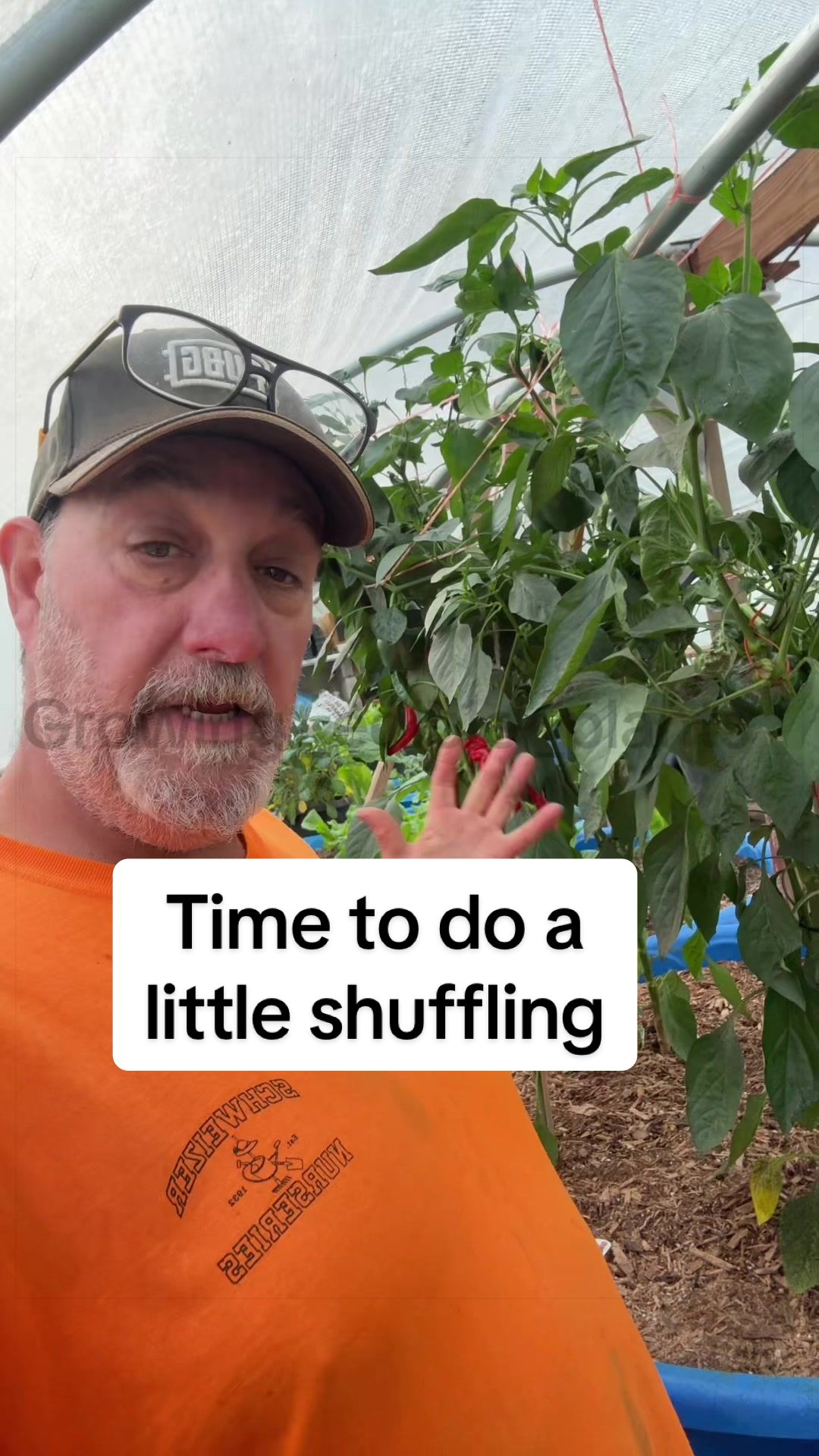 @GROWING_EDIBLE_PLANTS