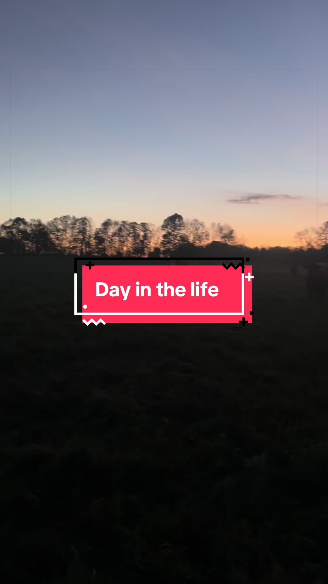 @littlesandycreekfarm