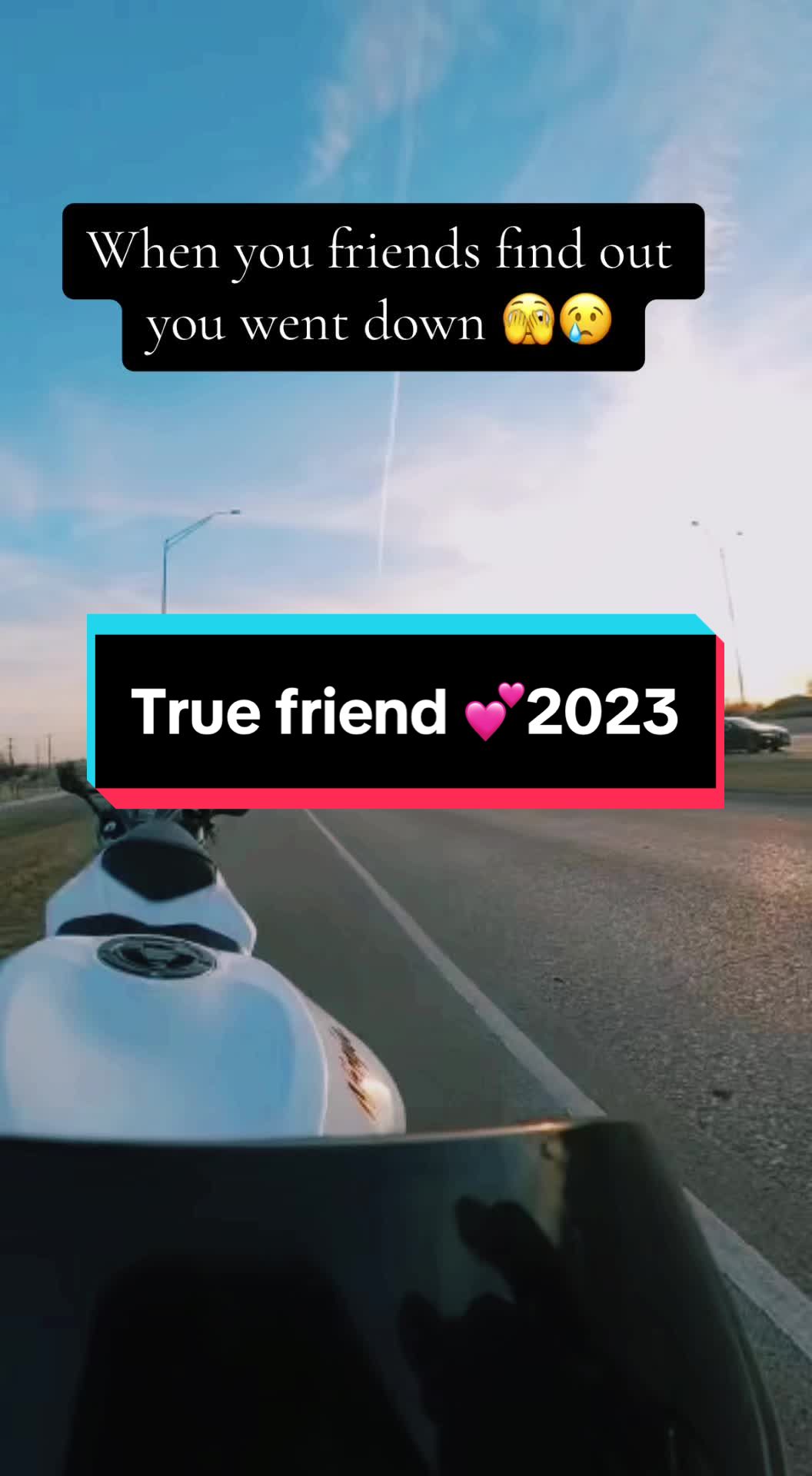 @Cheesus & Sakurababe