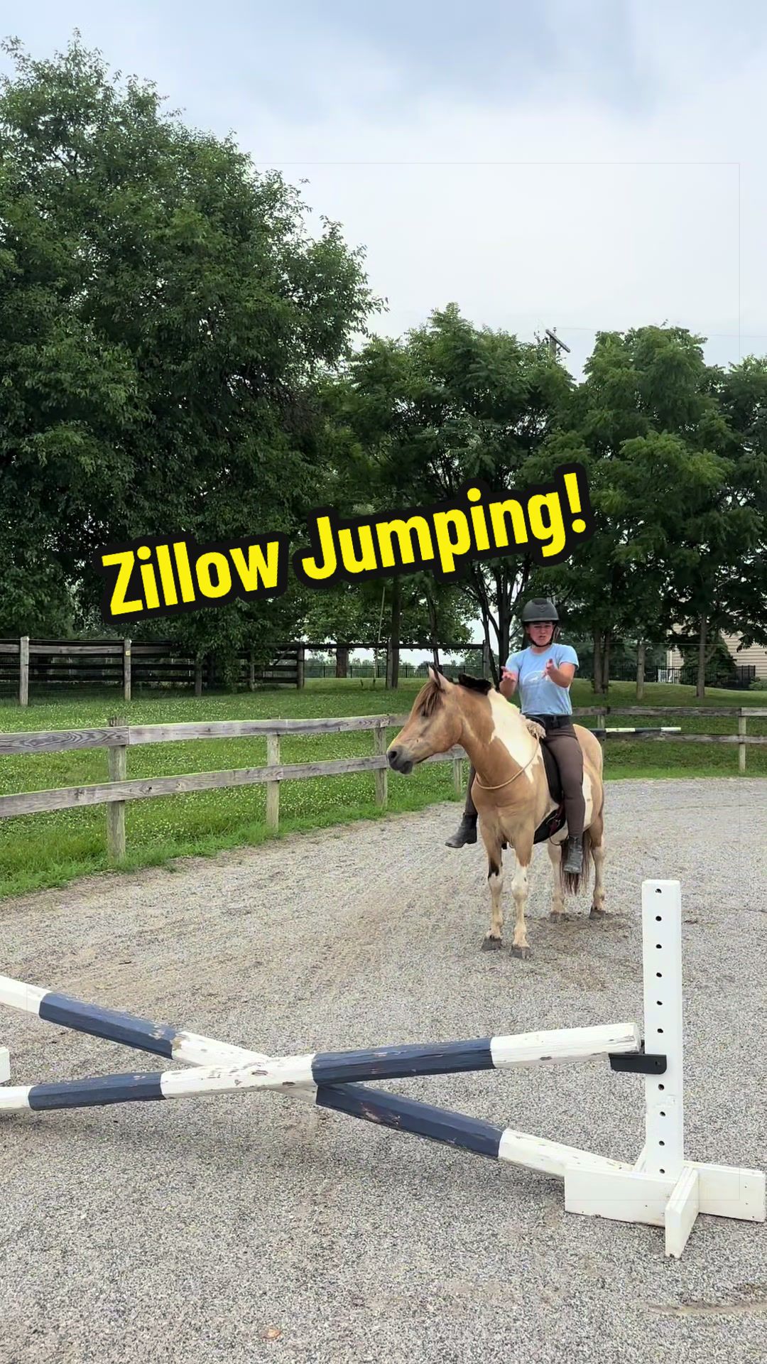 @Days End Farm Horse Rescue