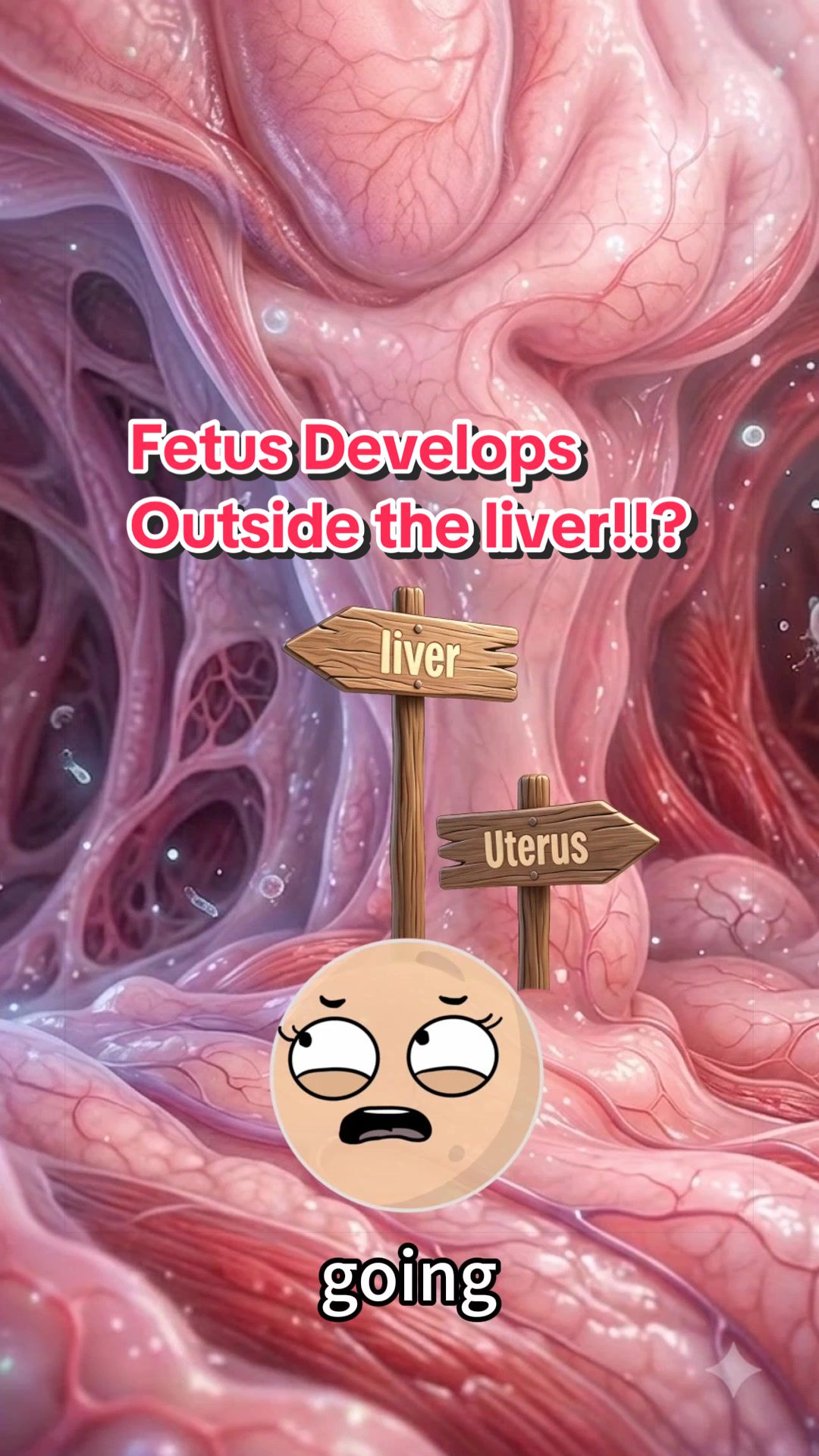 @Funny Animations