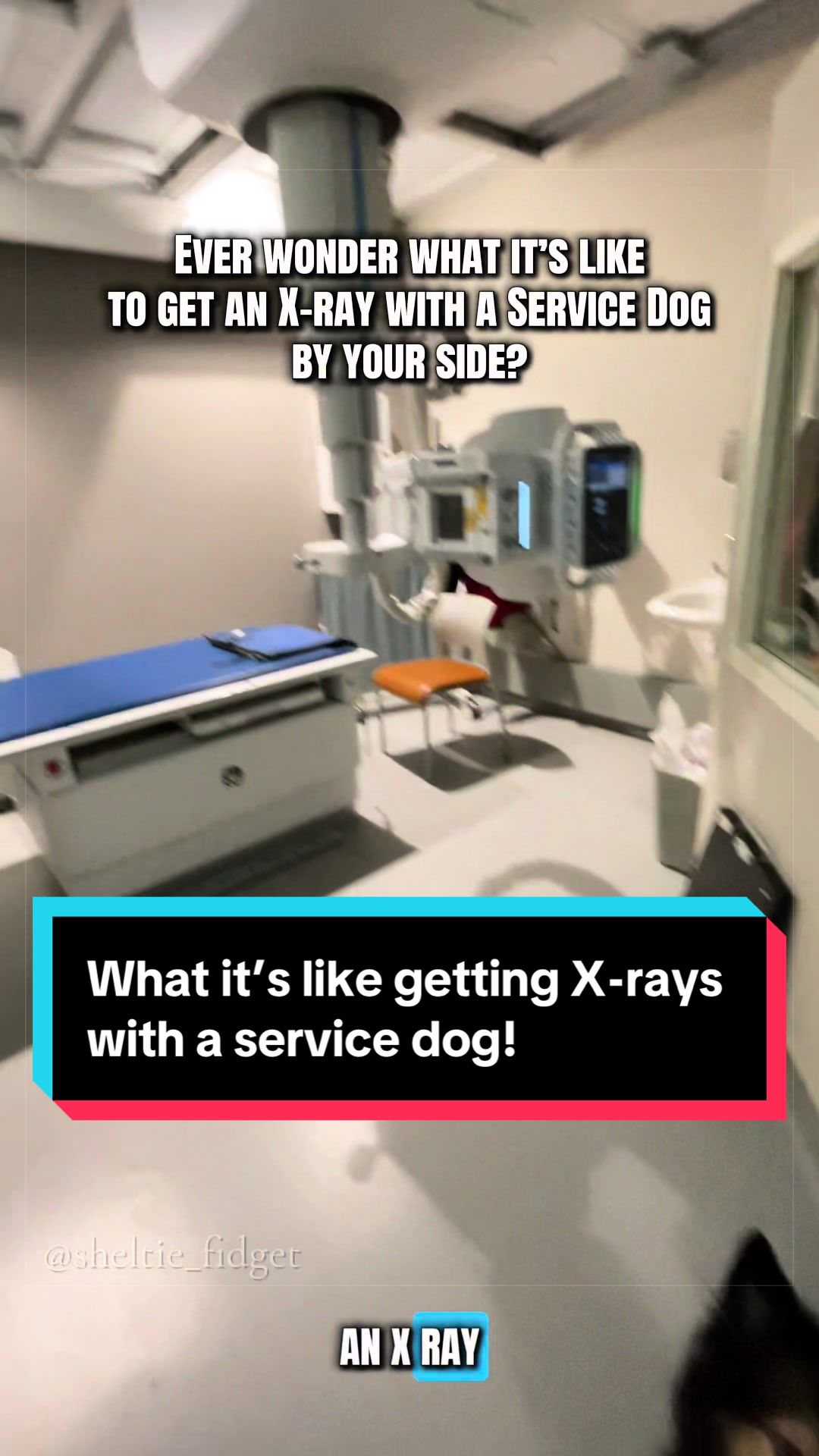 @Dakota & Pups