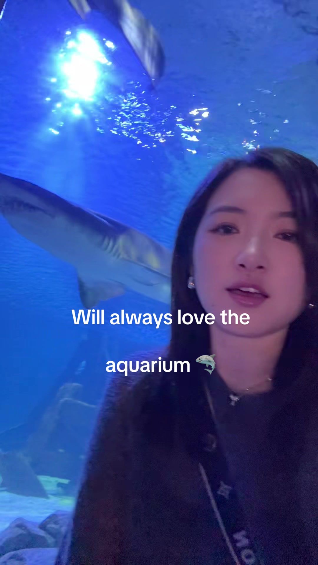 @Kitty