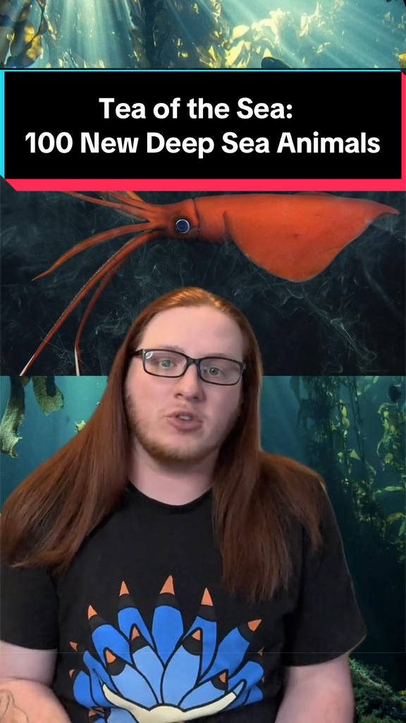 @Paleopedia