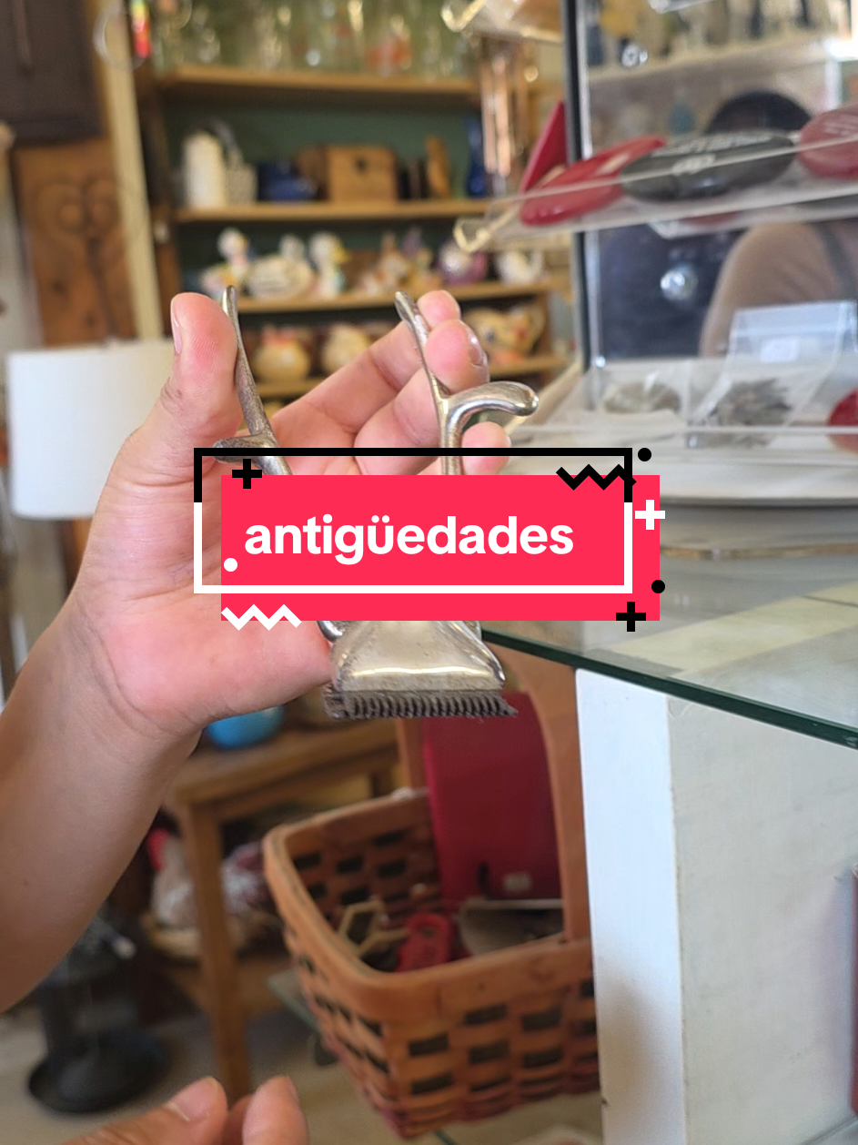 @✾🩷ᴍᴀʀᴛɪɴᴀ ʀᴇʏᴇs ᴍᴀʟᴅᴏɴᴀᴅᴏ🩷 ✾