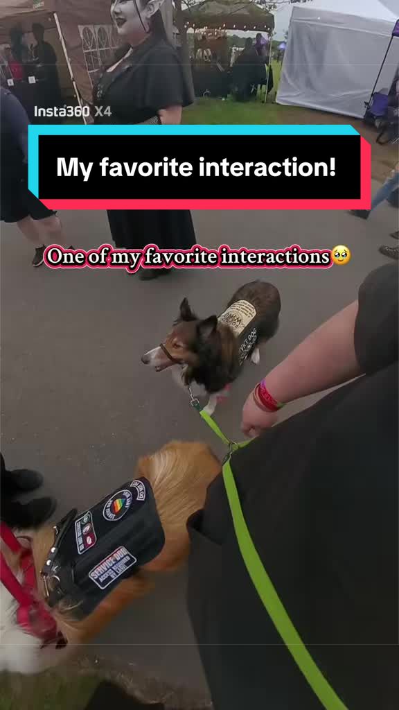 @Dakota & Pups