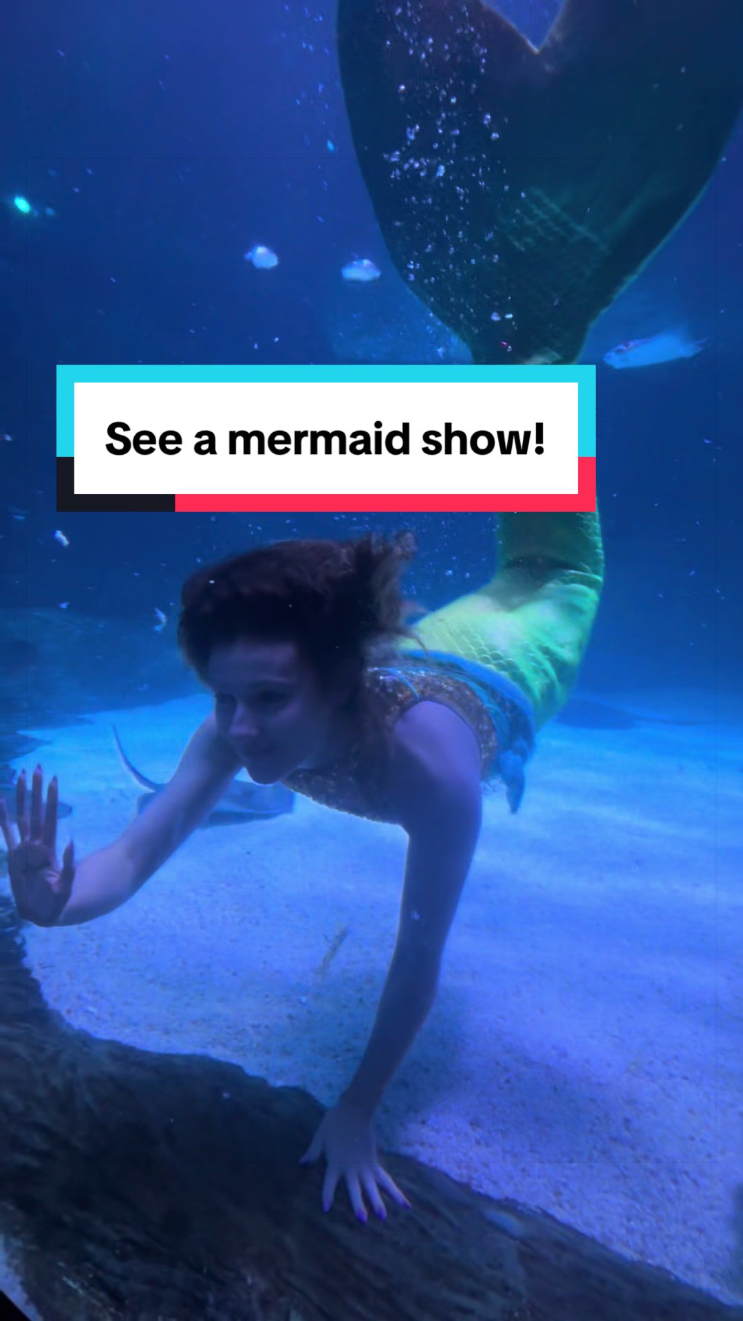 @HaleyMermaid