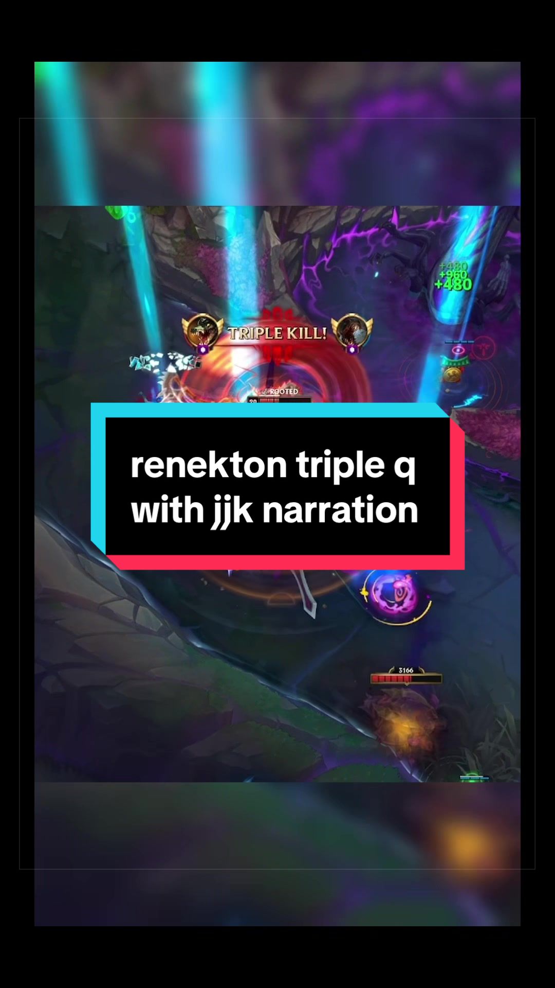 @insectolol
