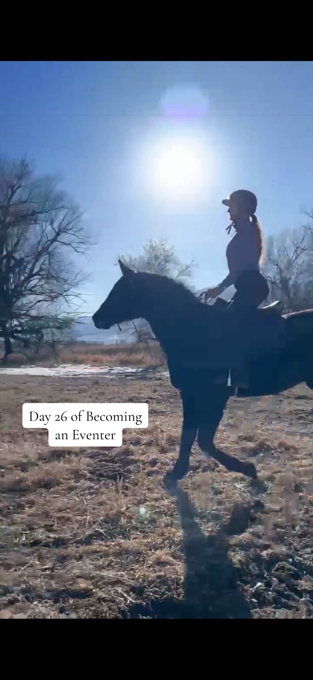 @addie | horse girl