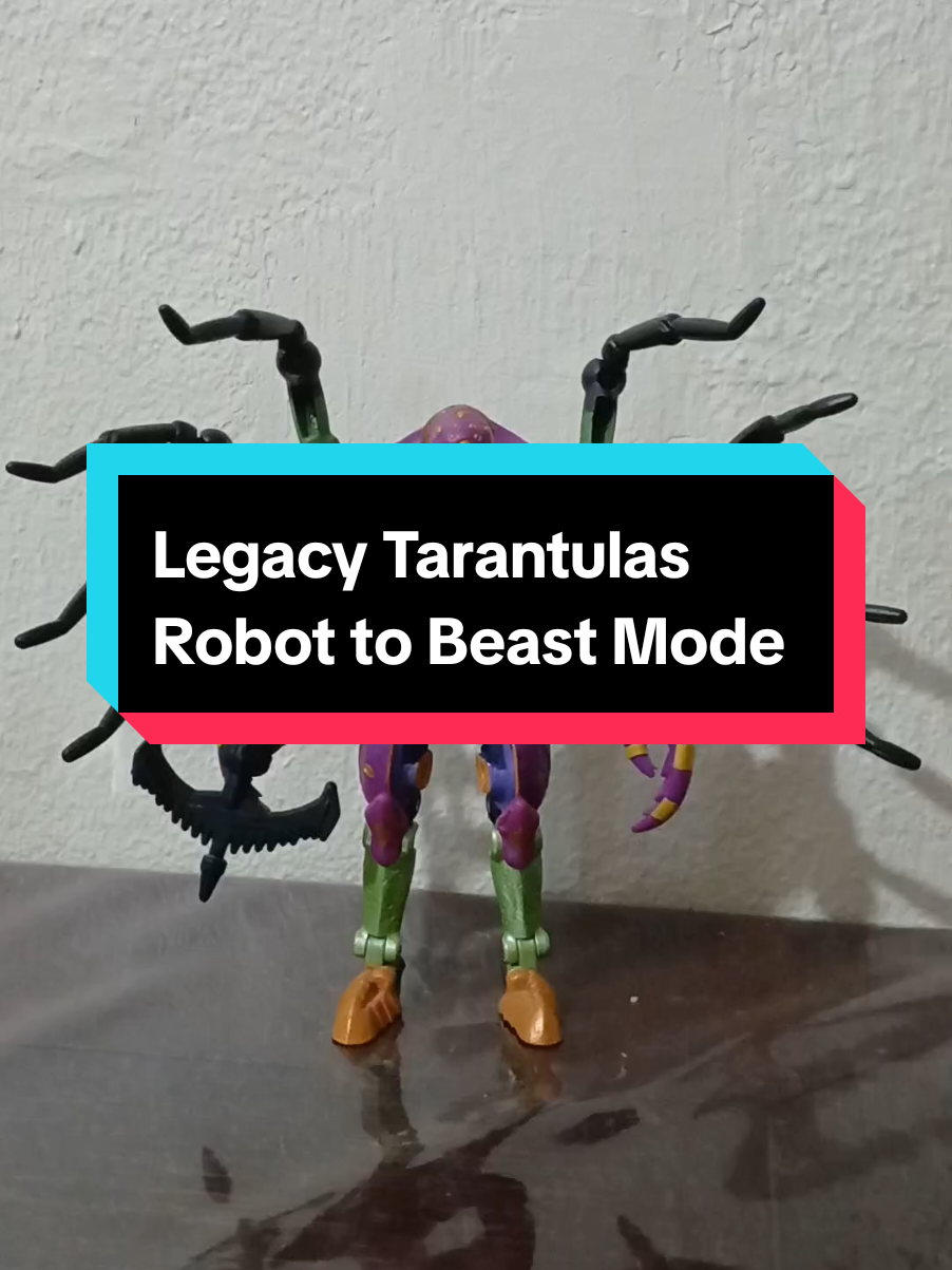 @Transformers collector