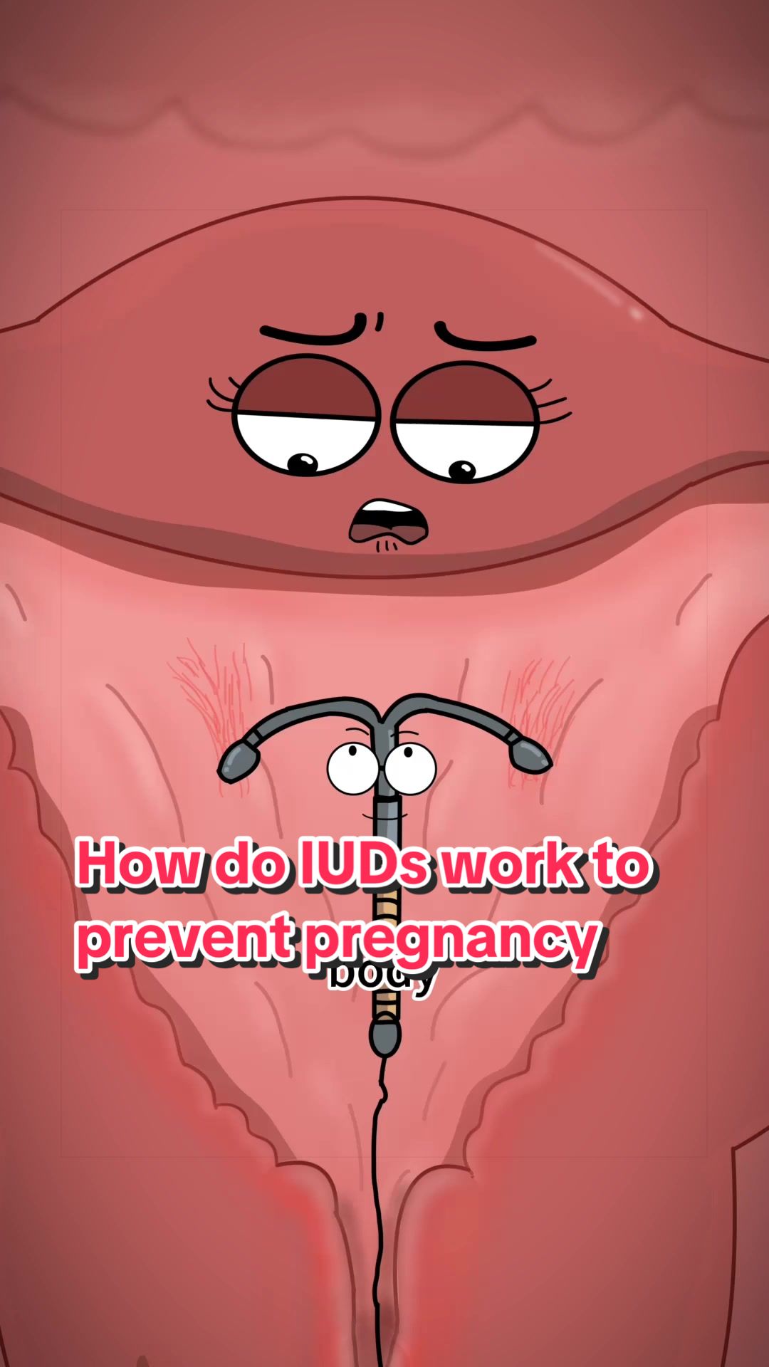 @Funny Animations