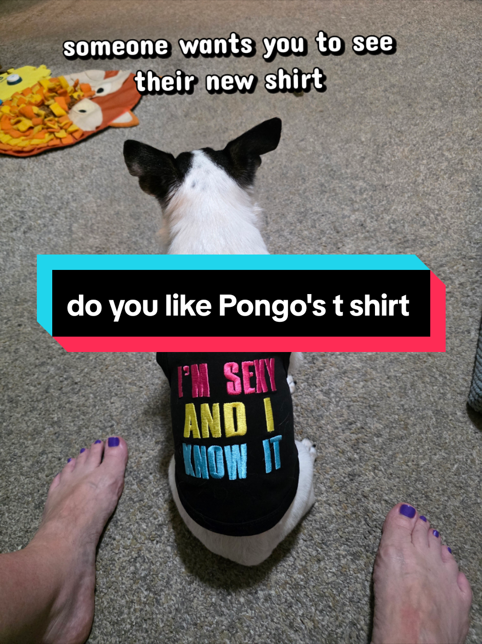 @Mama Pongo