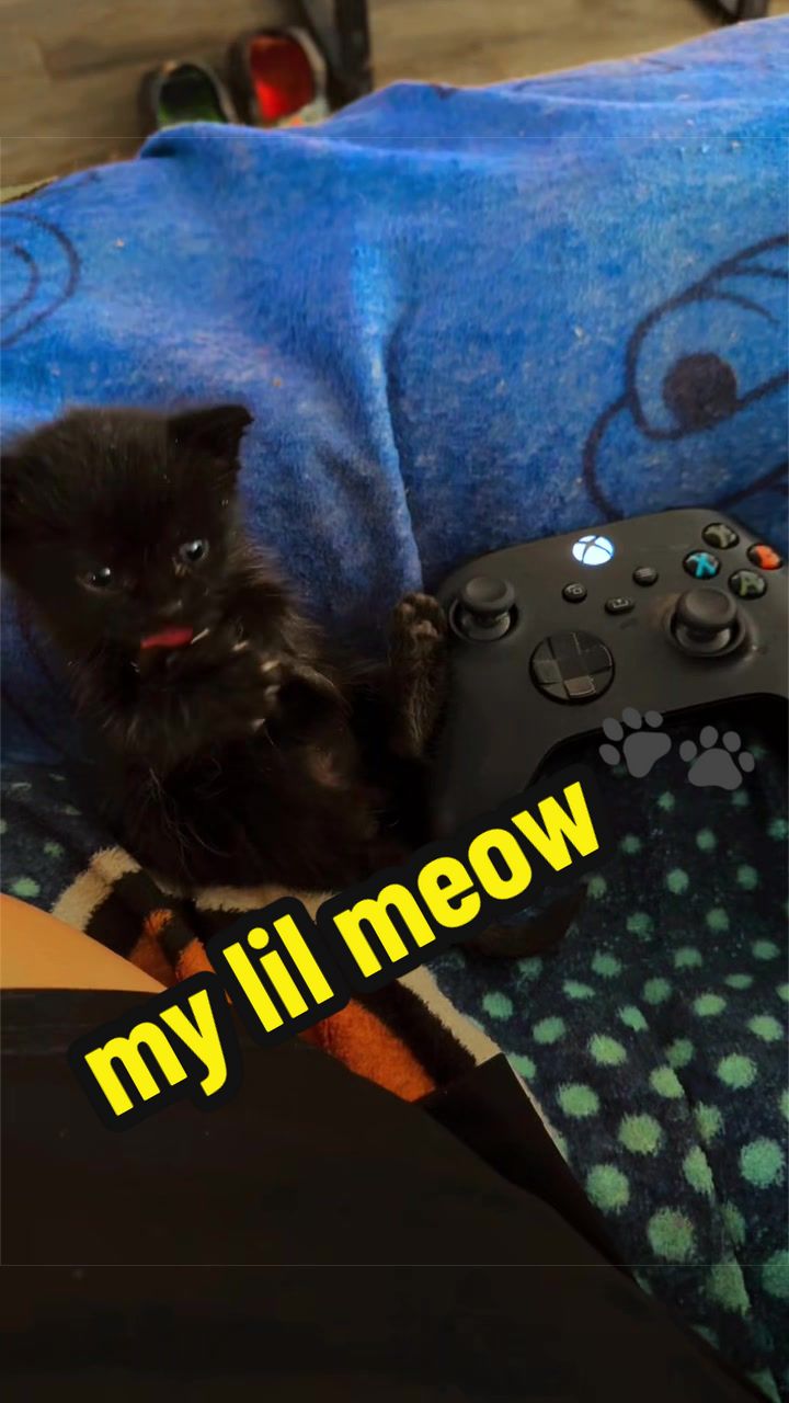 @๐ค M A R K U S โ