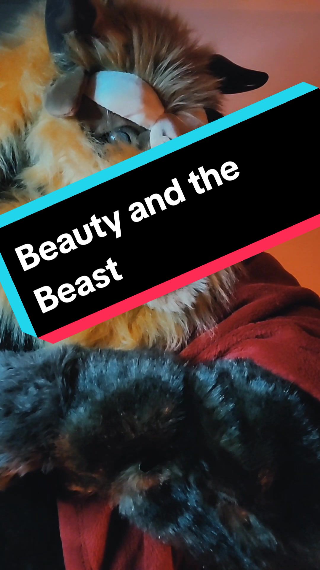 @💜🤍remarkablebeast🐦🔥🐺⚔️
