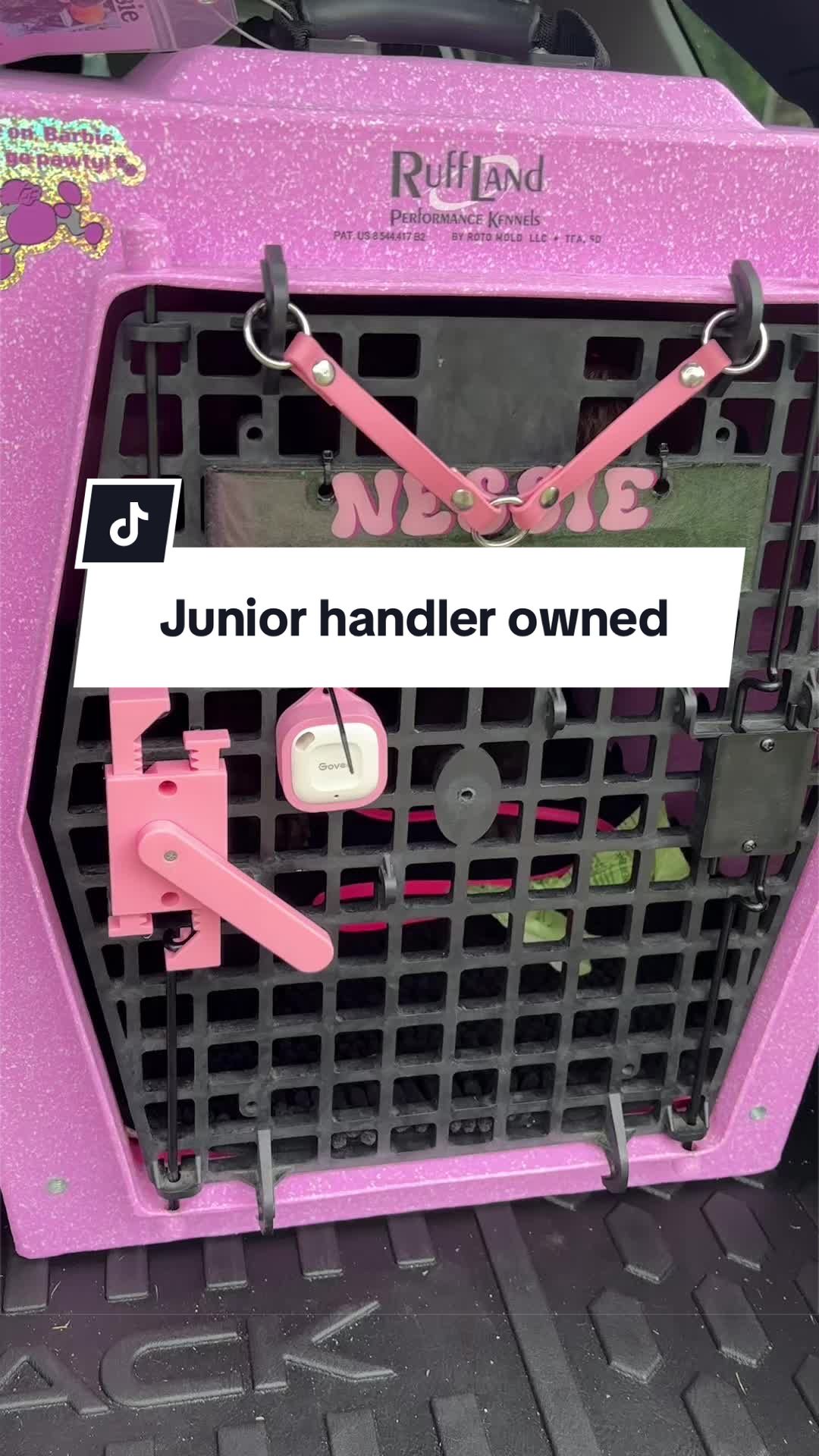 @Maddie, Jovie & Nessie🤍🤎🐩