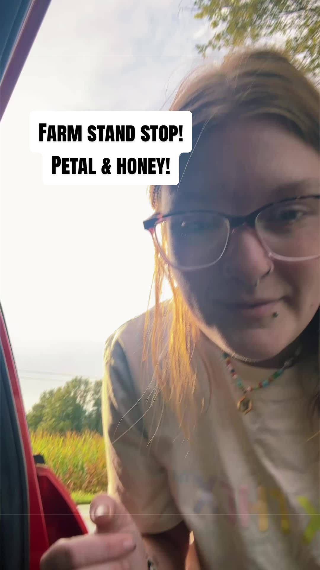 @Taylor Rayne |🚌|Digital Nomad