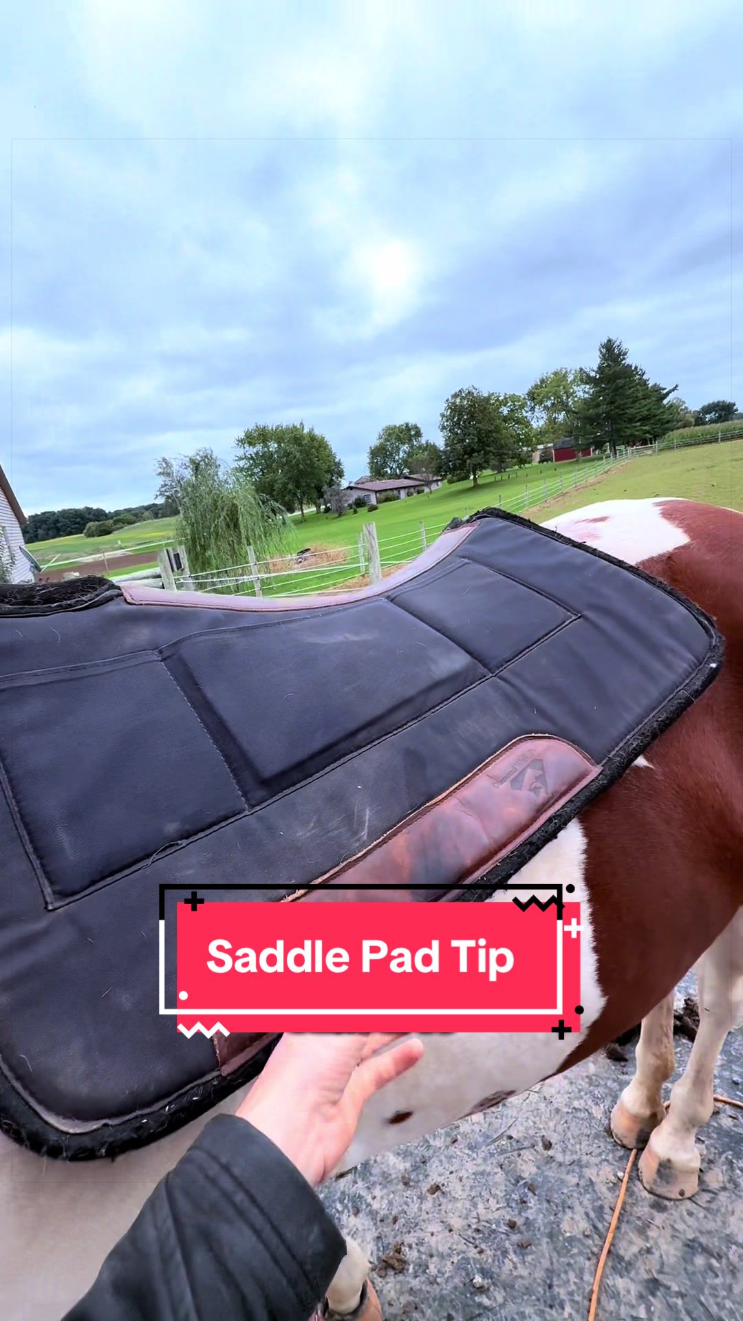 @yourhorseandponyleader