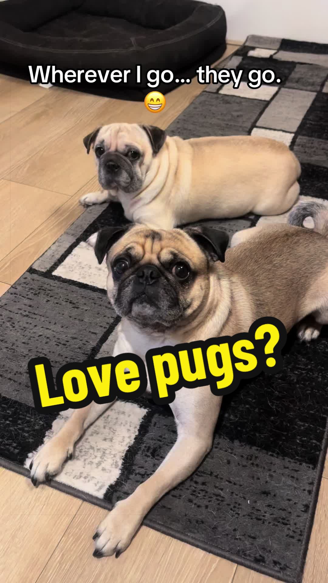 @✨🦋Glen_Totz🦋✨