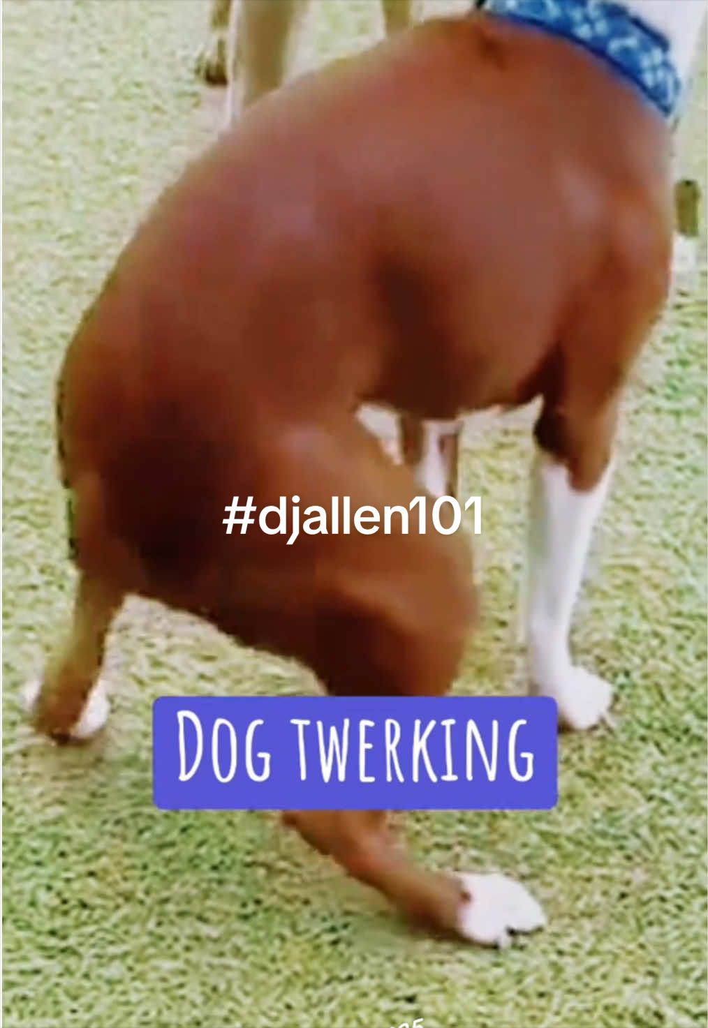 @Dj. Allen