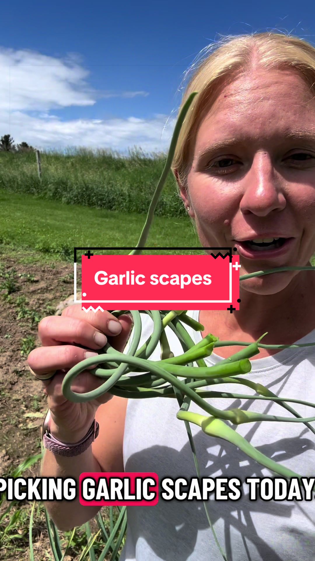 @littlesandycreekfarm