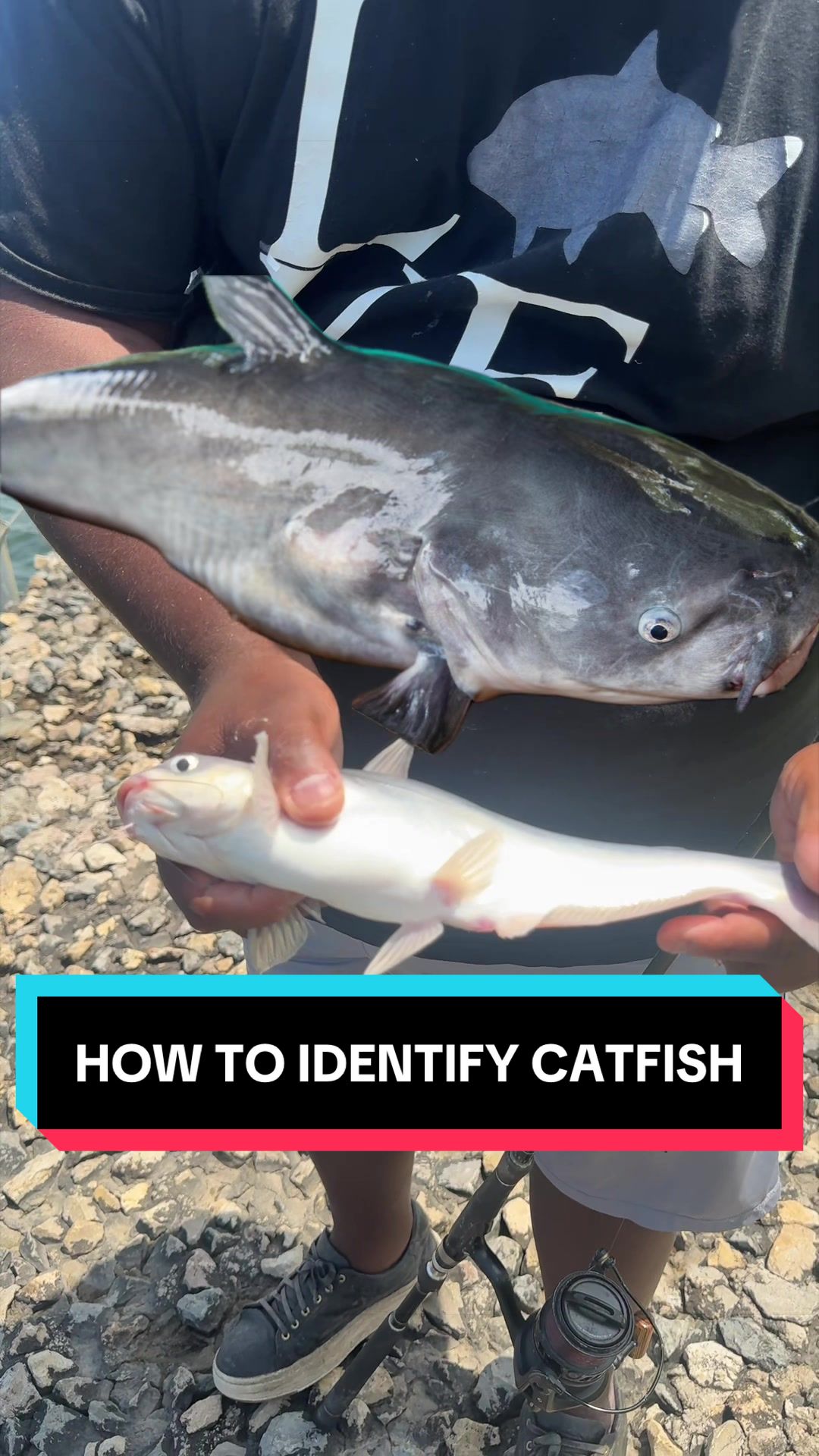 @Grateful Fishing Tv