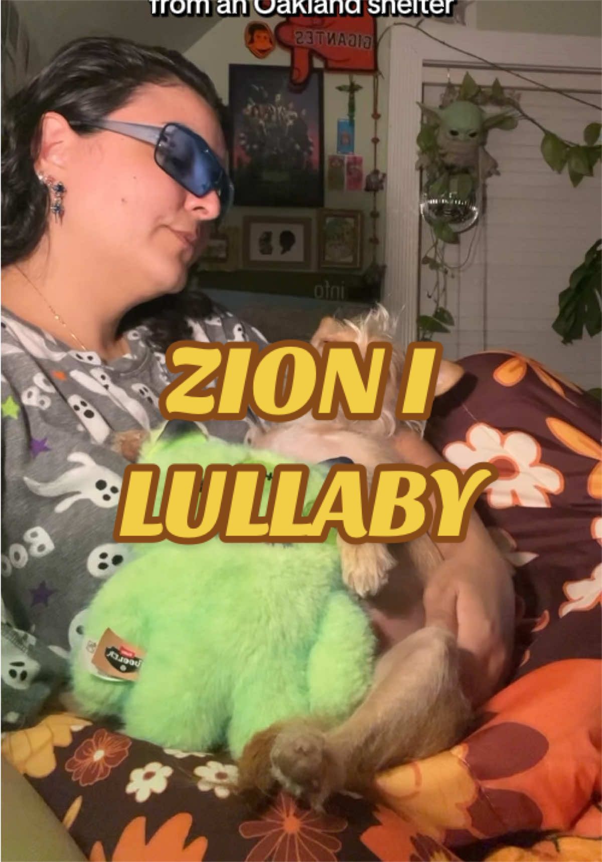@What’s New Sunny-Doo?
