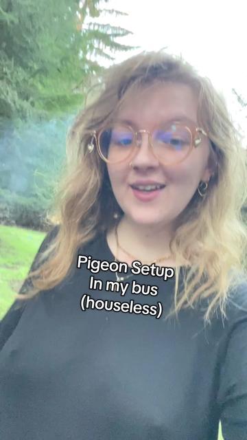 @Ava&rsquo;s Palomas 🕊️