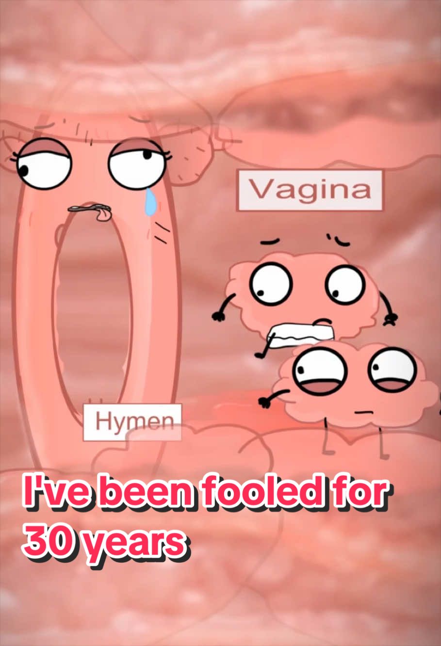 @Funny Animations