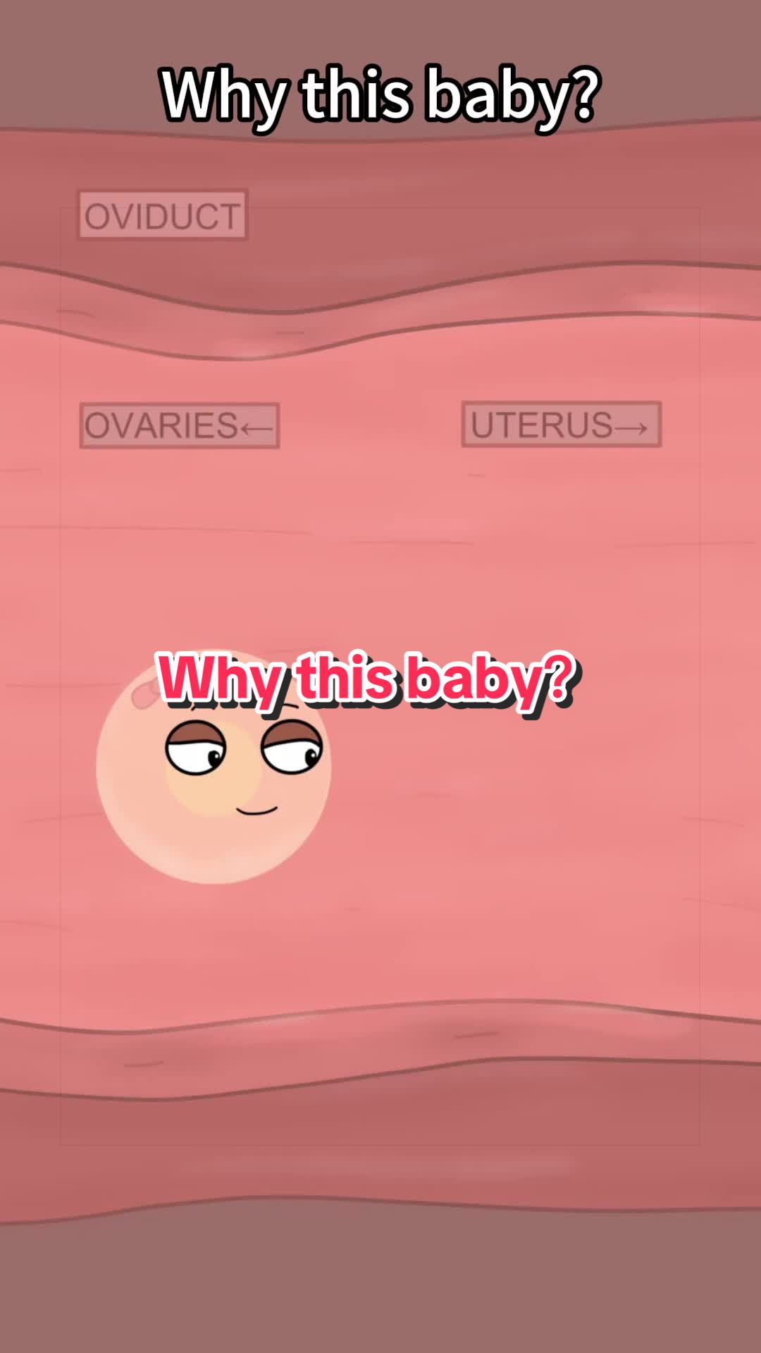 @Funny Animations