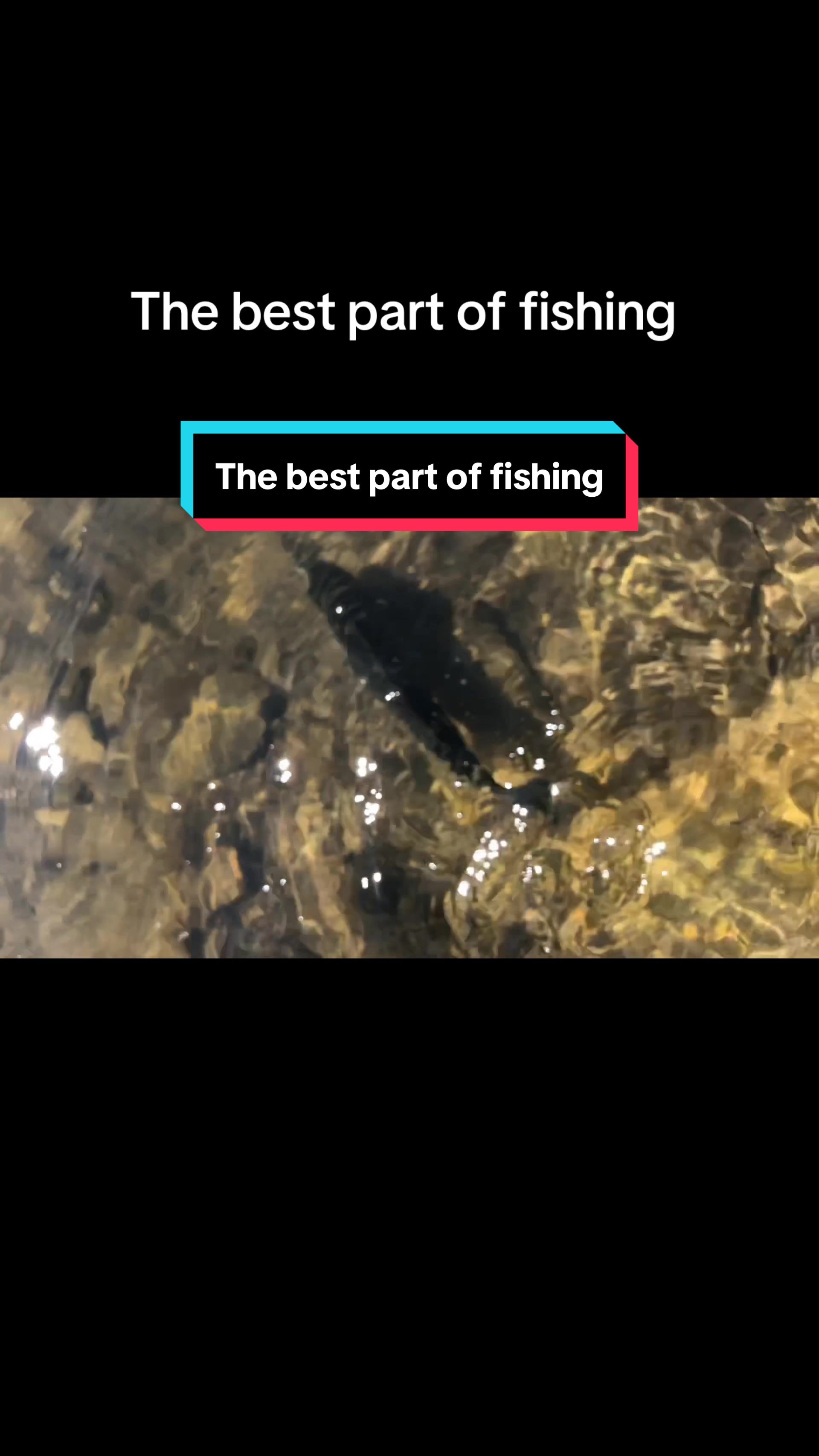 @Bassinwithjay
