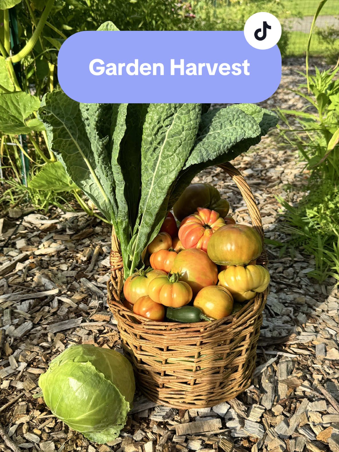 @Manica | zone 6a gardener