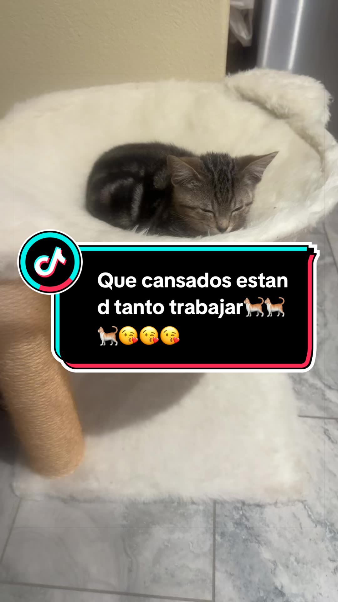 @nataly.831