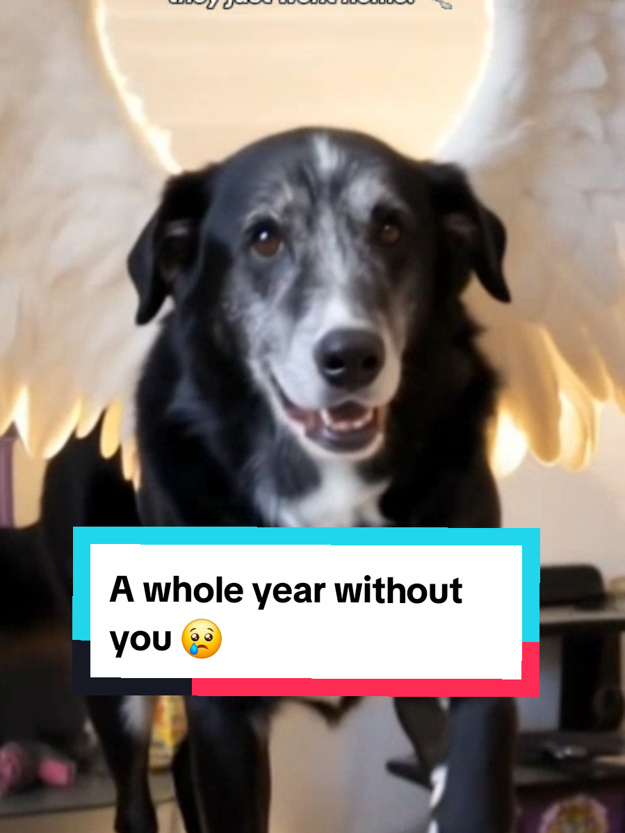 @Moon and Apollo