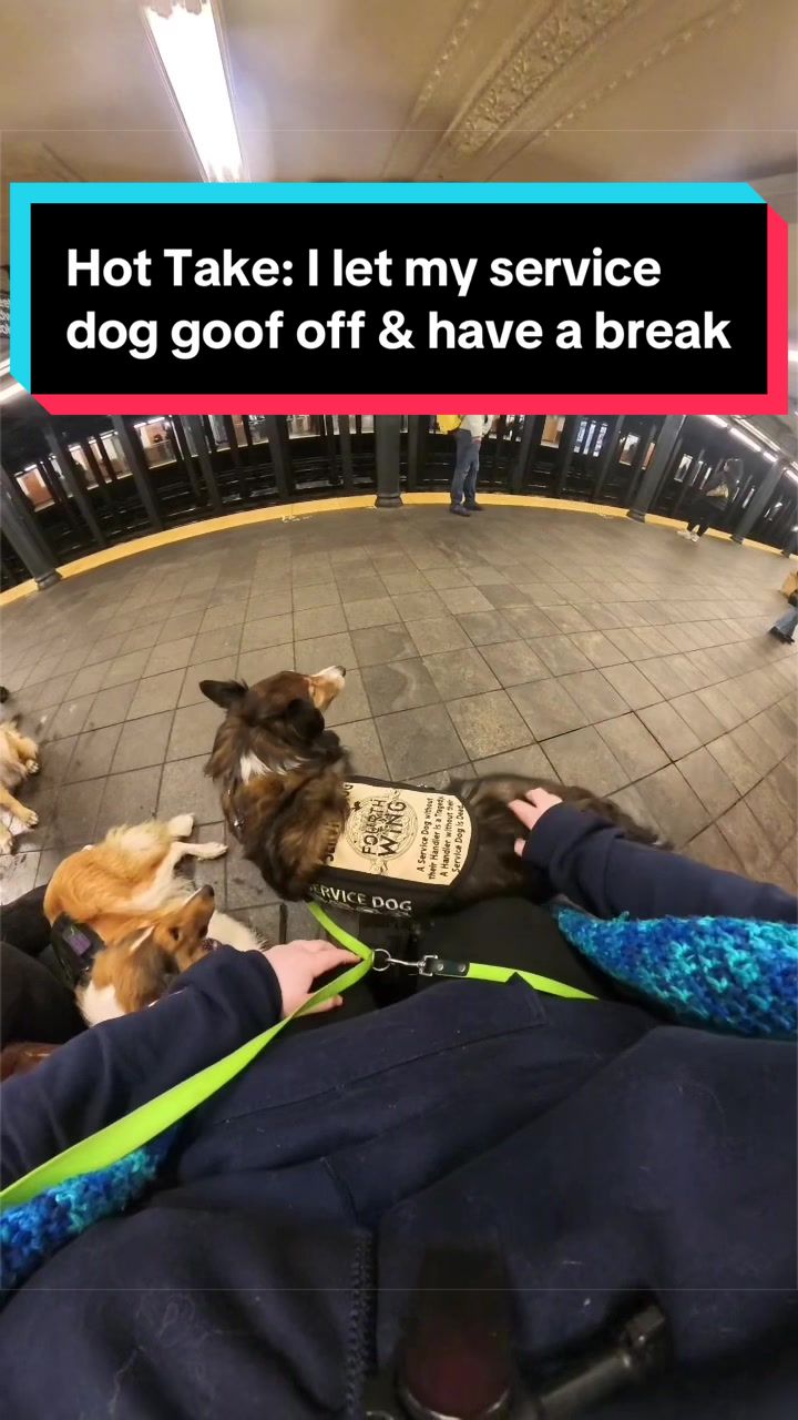 @Dakota & Pups