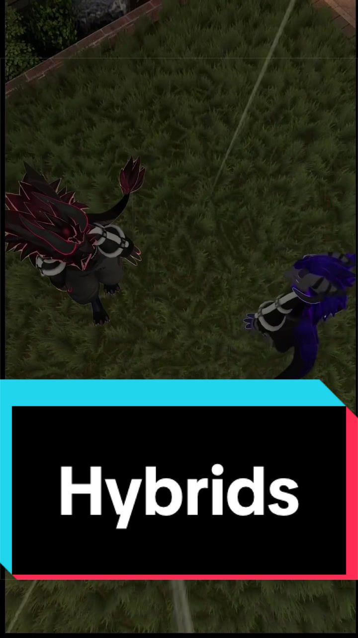 @Zephina (Sea Filler)