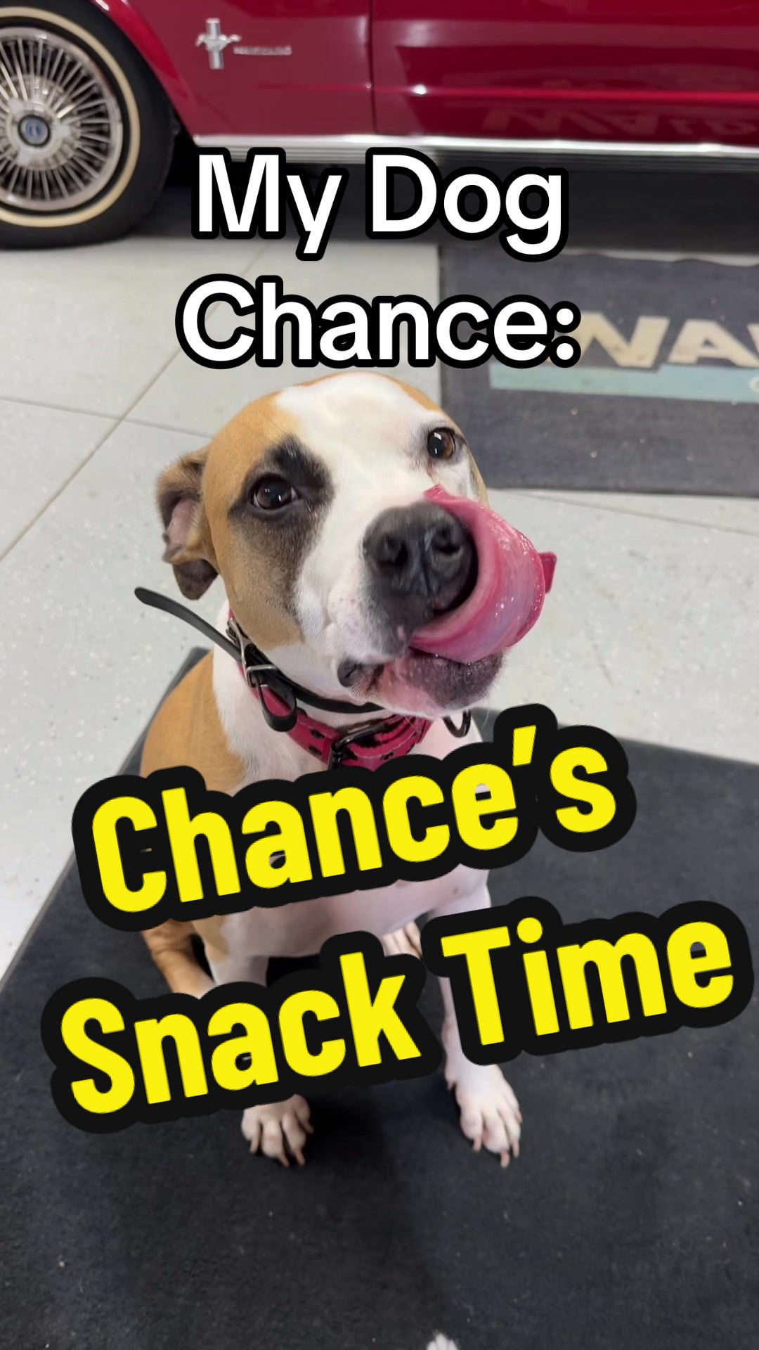 @Chance and Co