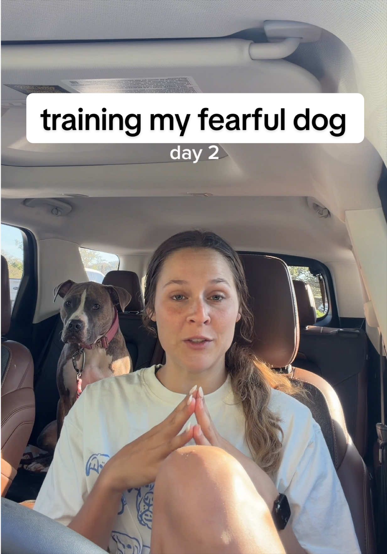 @Abby KPA-CTP | Dog Trainer