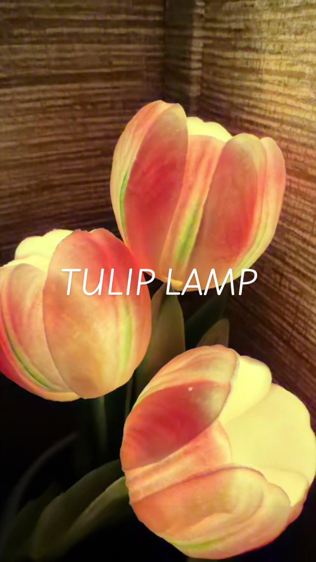 @TansTopFinds