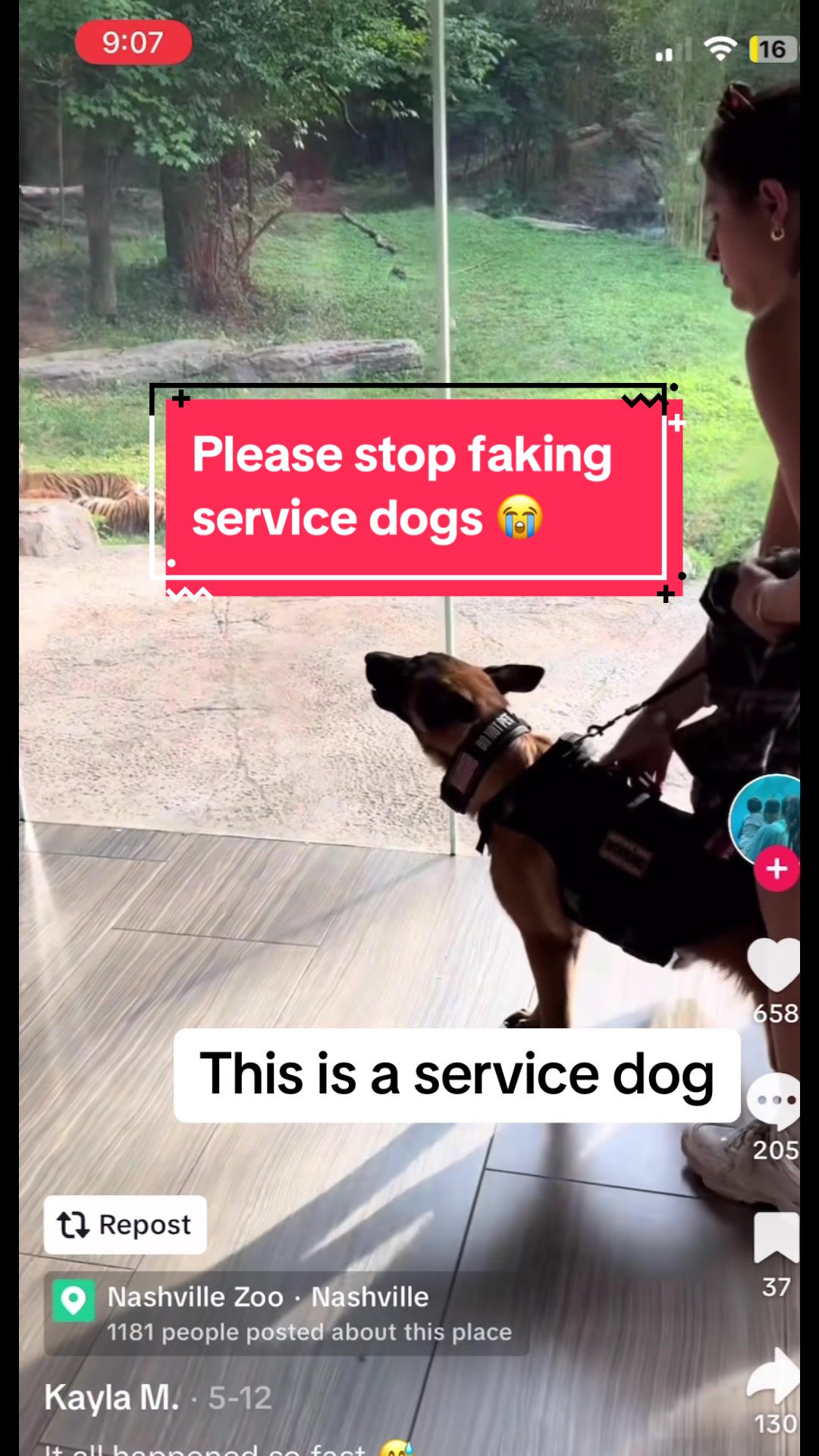 @duchesstheworkingdog
