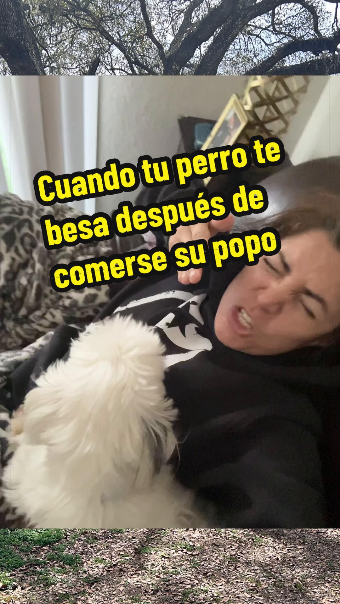 @FrenchBuldog