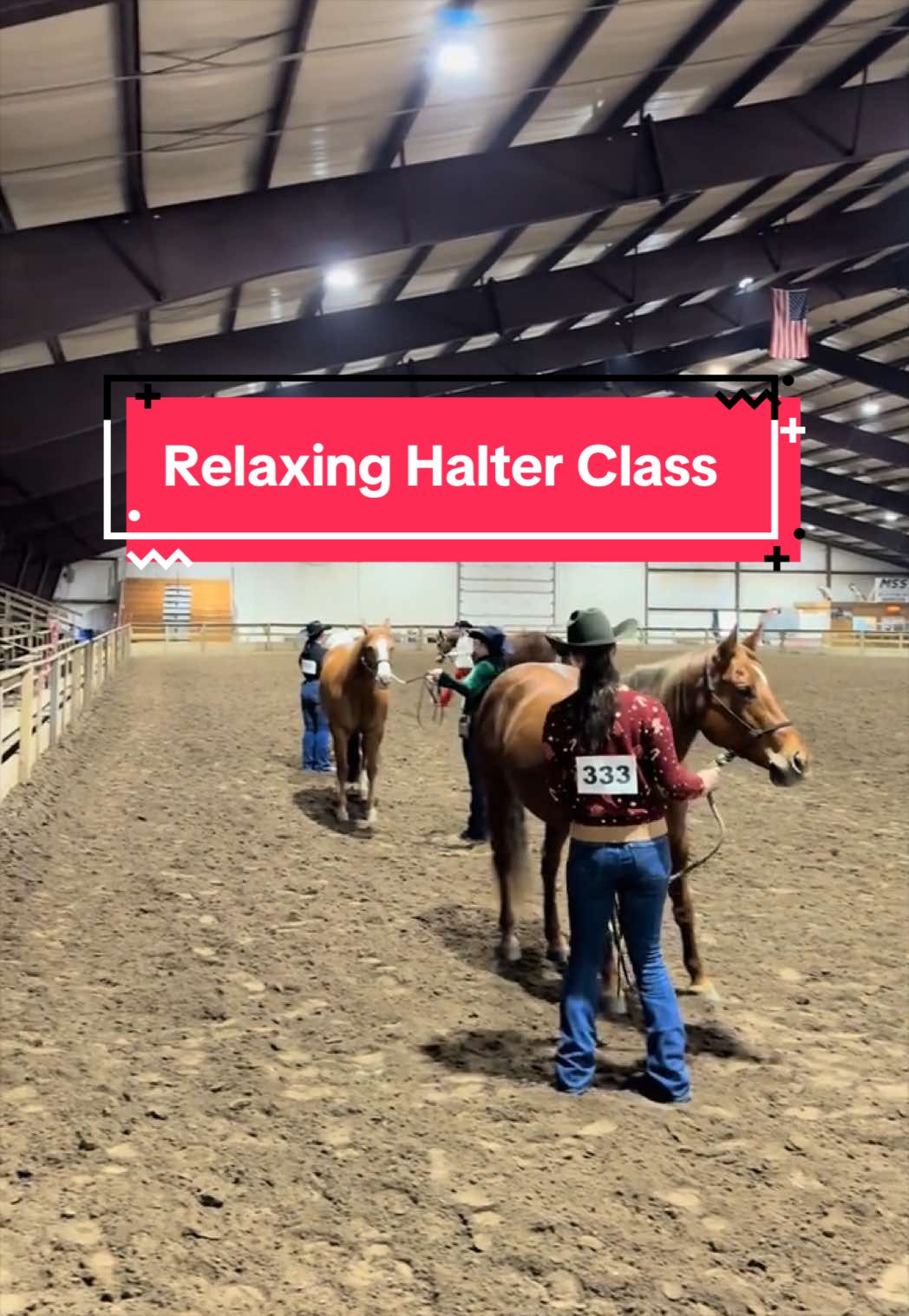@yourhorseandponyleader