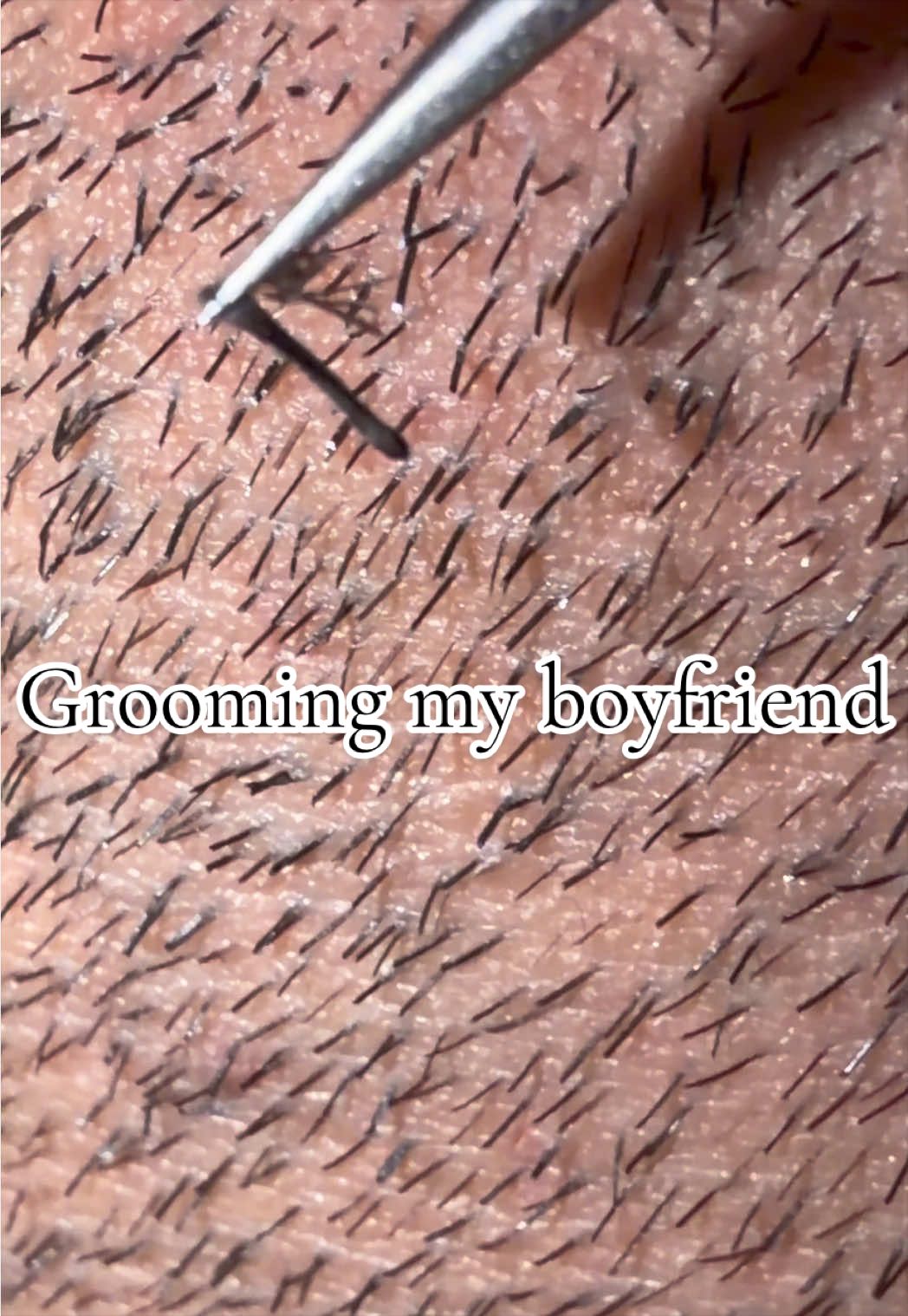 @GroomingMyGrizzly