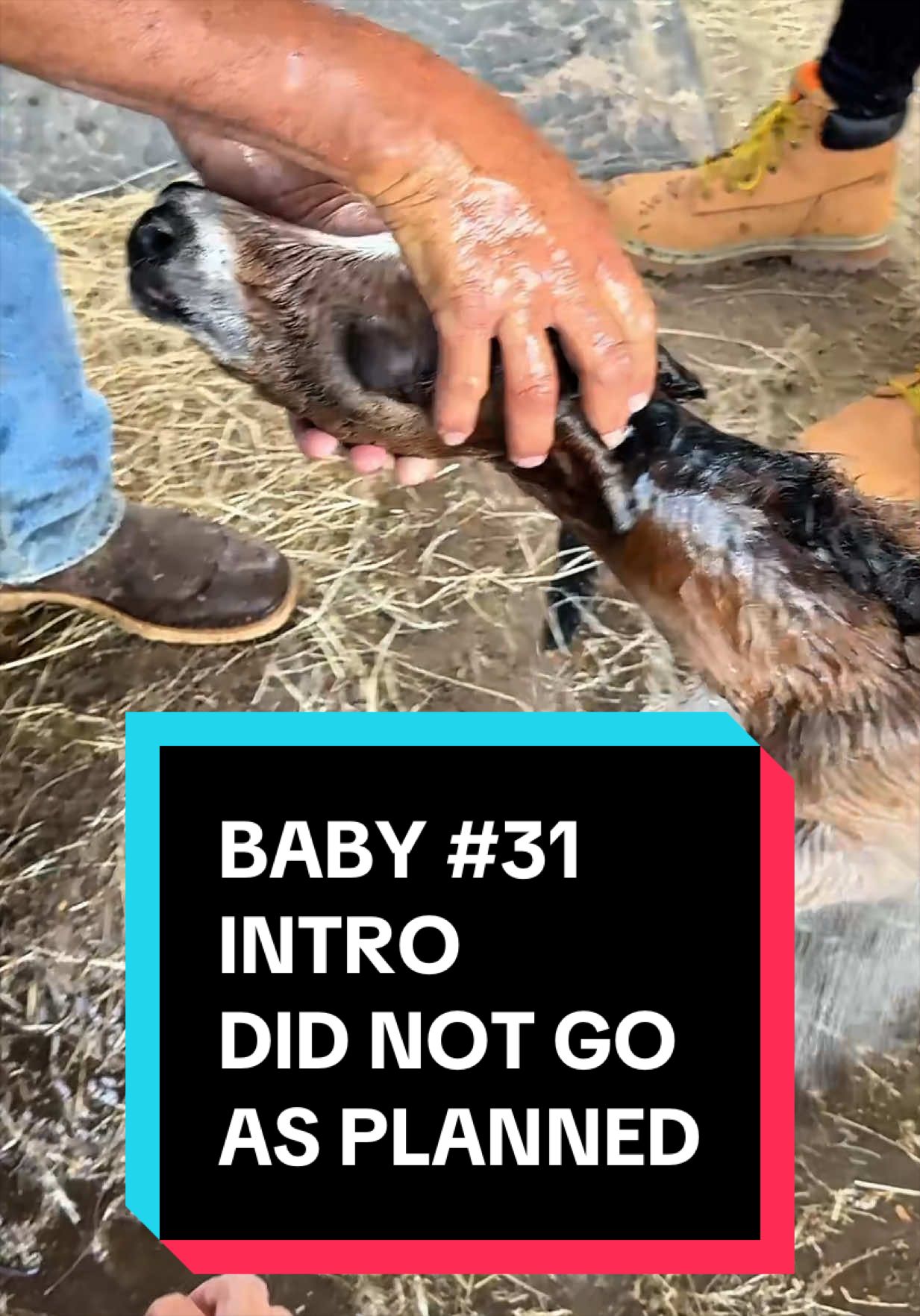 @Dr.Nicole-VetMed