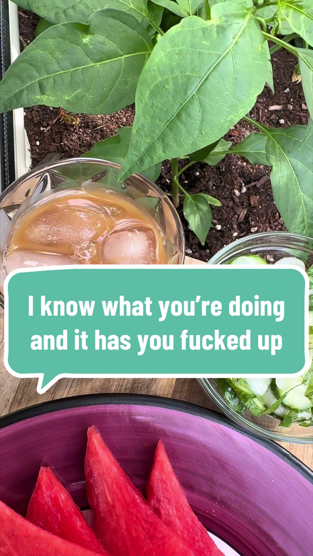 @plantbasedfoodcoach