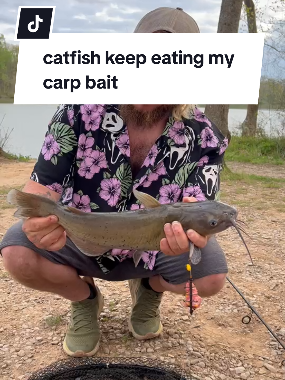 @Levi Barnett
