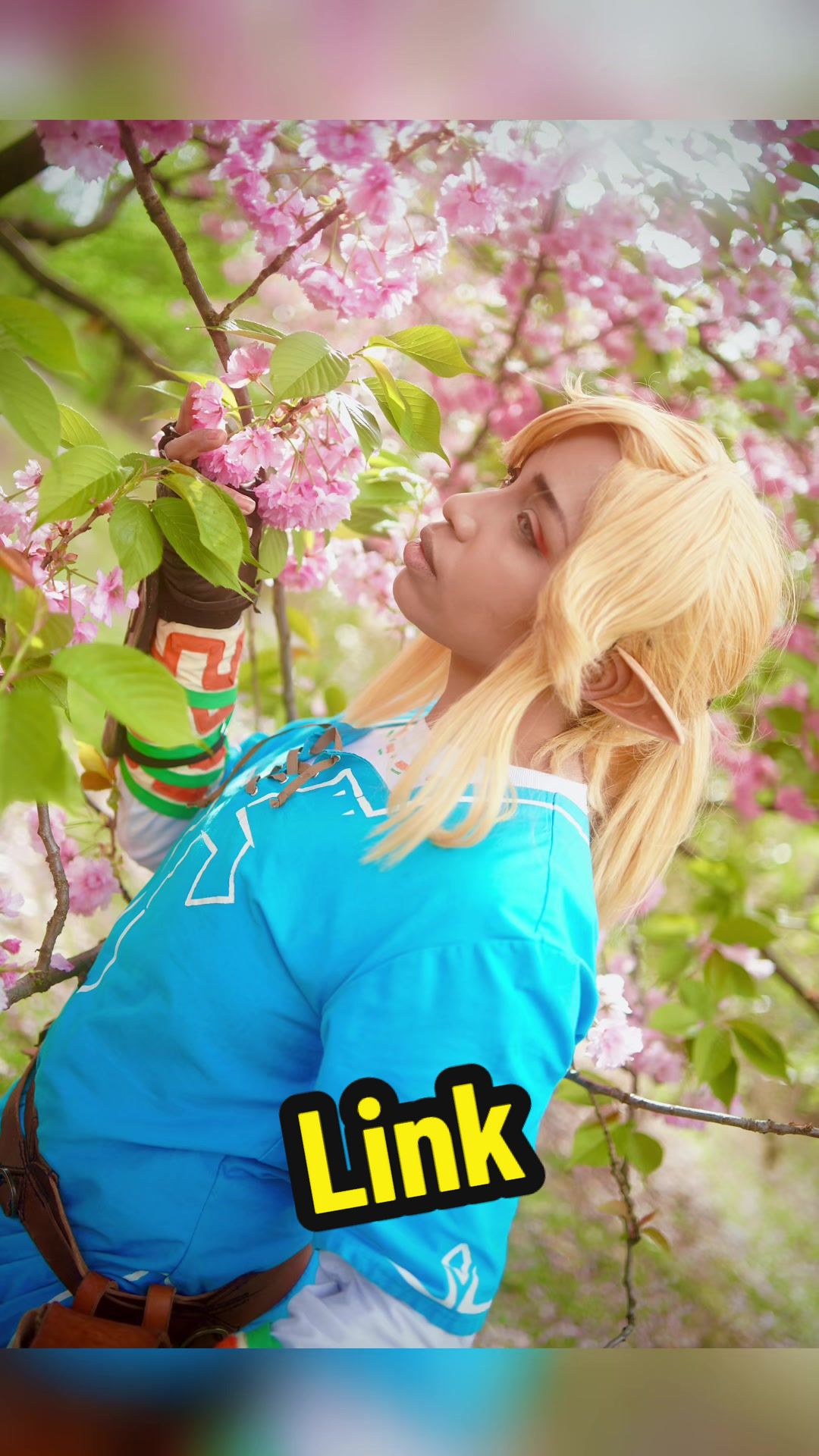 @minomotu