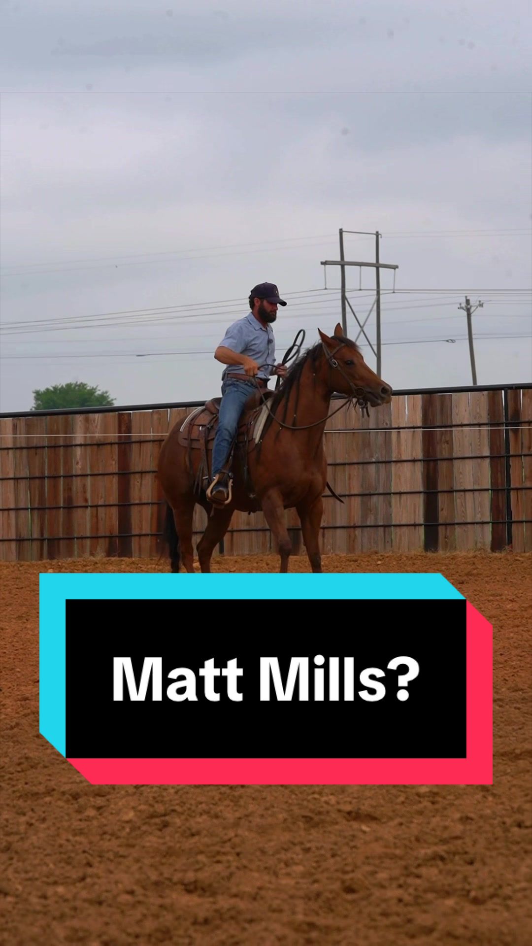 @WS Horses