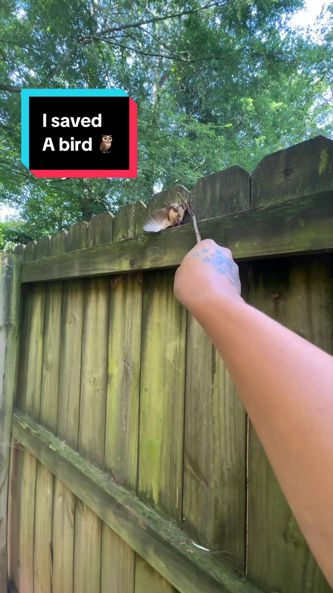 @Amirra🐝💛🌈