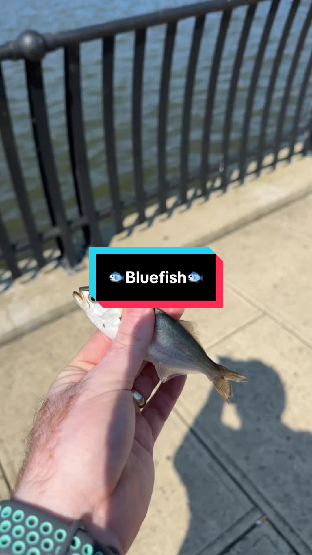 @fb1fishing