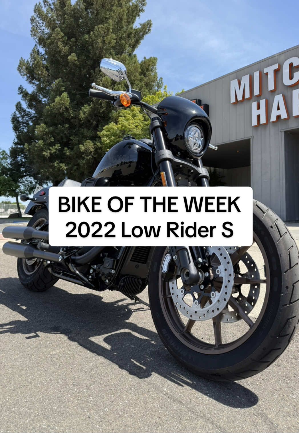 @Modesto_Harley